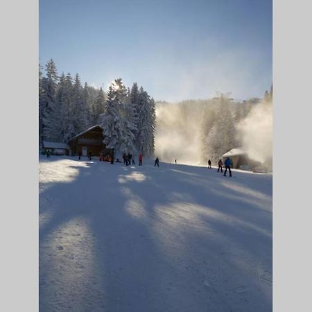 Large Vacation Apartment In Poiana Brasov Eksteriør bilde