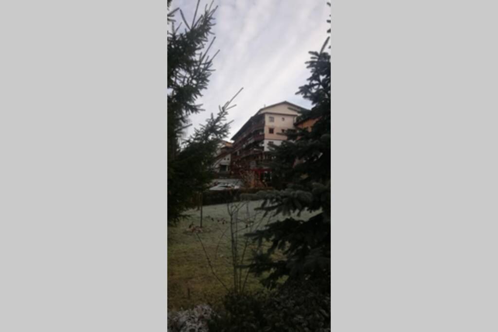 Large Vacation Apartment In Poiana Brasov Eksteriør bilde