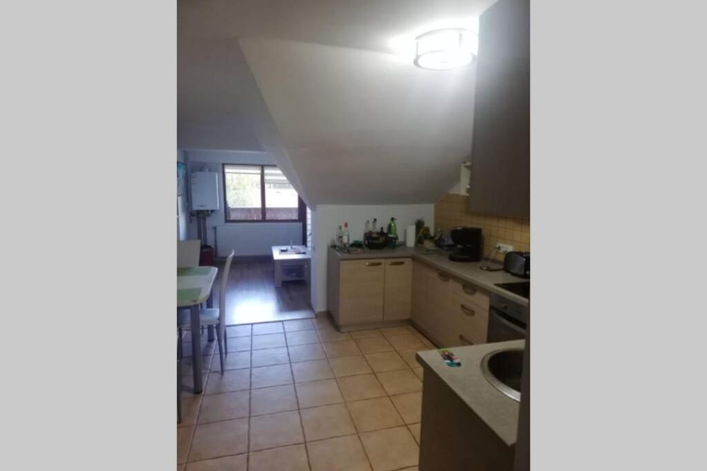 Large Vacation Apartment In Poiana Brasov Eksteriør bilde