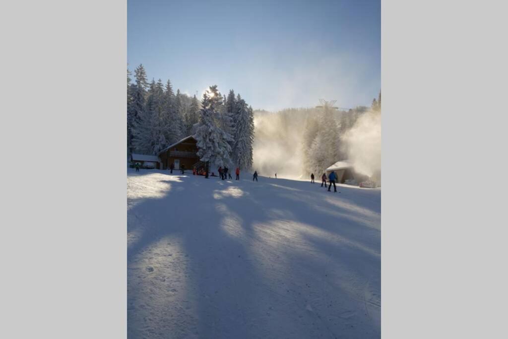 Large Vacation Apartment In Poiana Brasov Eksteriør bilde